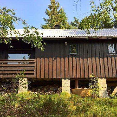 Skogheim Two-Bedroom Cottage Birkeland Eksteriør billede